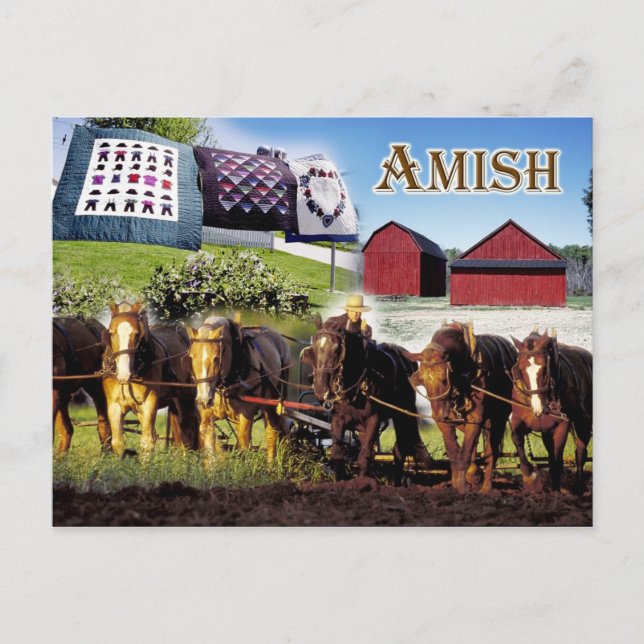 Amish Life in Lancaster, Pennsylvania Postcard (Front)