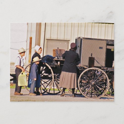 Amish Loading Buggy Postcard