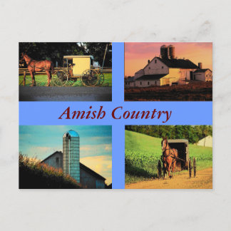 Amish Montage Postcard