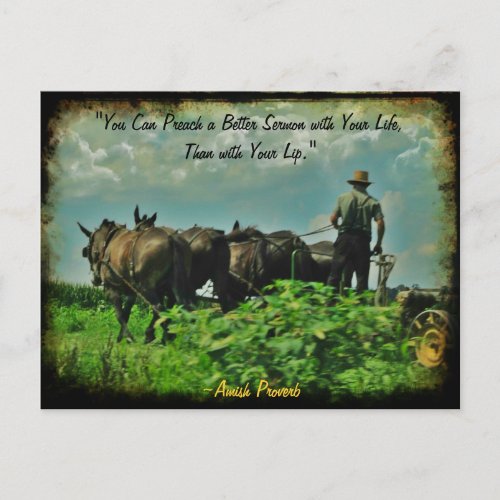 Amish Postcard Proverb Add Store or Your Name Postcard
