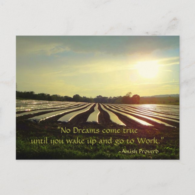 Amish Postcard. Proverb. Dreams. Work. Postcard (Front)