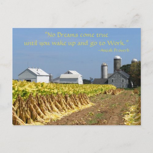 Amish Proverb Dreams Lancaster Lititz Postcard 2