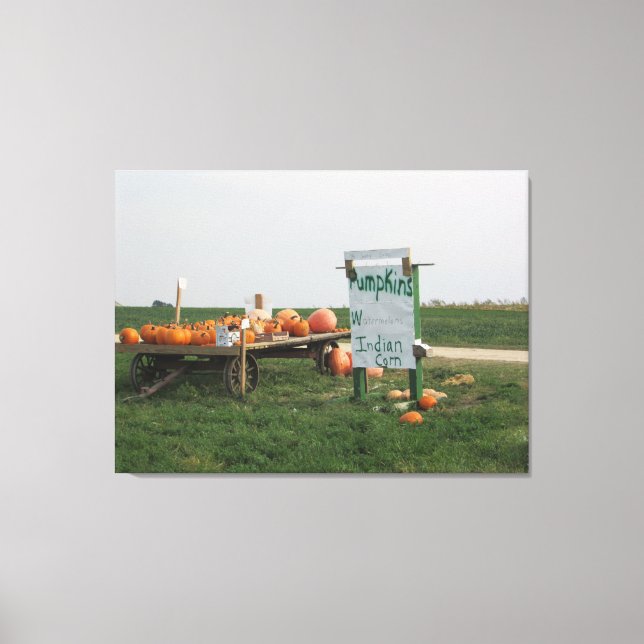 Amish Pumpkin Patch Farm Photography Wall Art (Front)