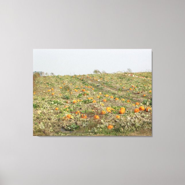 Amish Pumpkin Patch Photography Wall Art (Front)