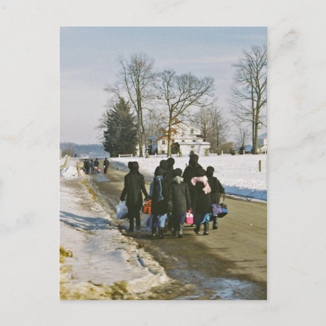 Amish School Day Postcard (Front)