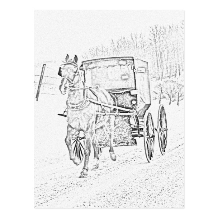 Amish Sketch Horse and Buggy Postcard