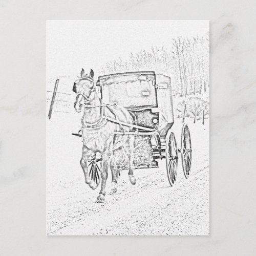 Amish Sketch_Horse and Buggy_Postcard Postcard