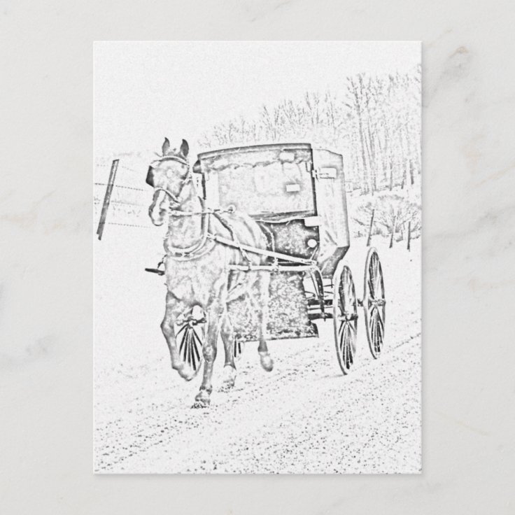 Amish Sketch-Horse and Buggy-Postcard Postcard | Zazzle