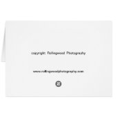 Amish Spring laundry (Back Horizontal)