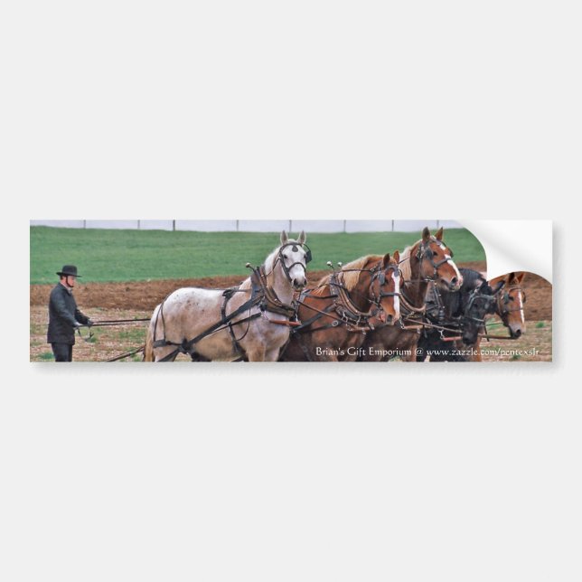 Amish Team Bumper Sticker (Front)