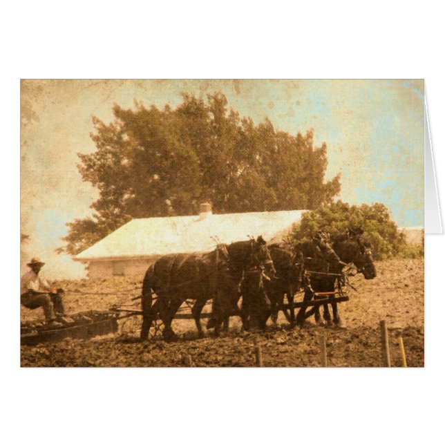 Amish Team Cards (Front Horizontal)