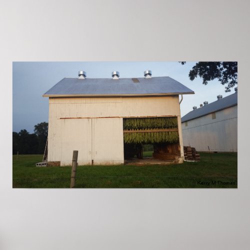 Amish Tobacco BarnPennsylvania Poster
