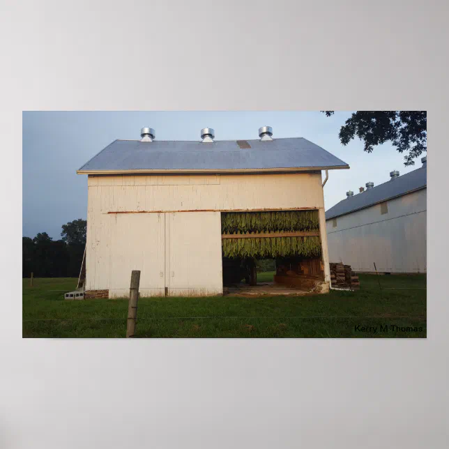amish tobacco barn Amish Tobacco Barn/Pennsylvania Poster