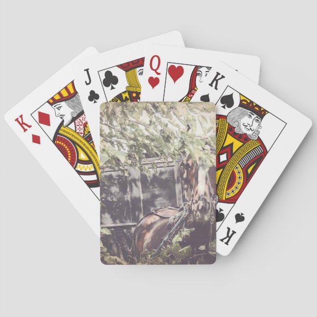 amish Waiting Horse Poker Cards (Back)