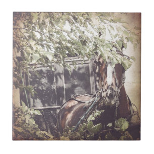 amish Waiting Horse Tile