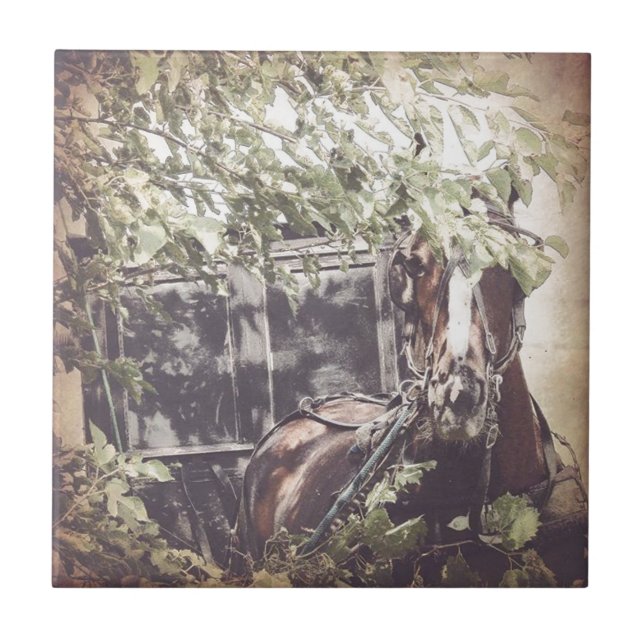 amish Waiting Horse Tile (Front)