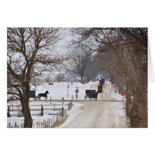 Amish Winter Procession Cards (Front Horizontal)