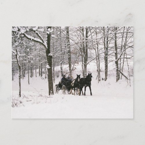 Amish Winter Snow Scene_Postcard Postcard