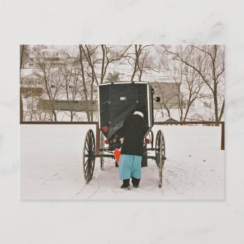Amish Woman Loading Buggy_ Postcard