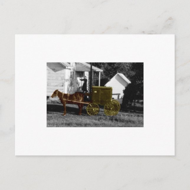 amish woman postcard (Front)