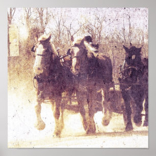 Amish Working Horses in Iowa Poster