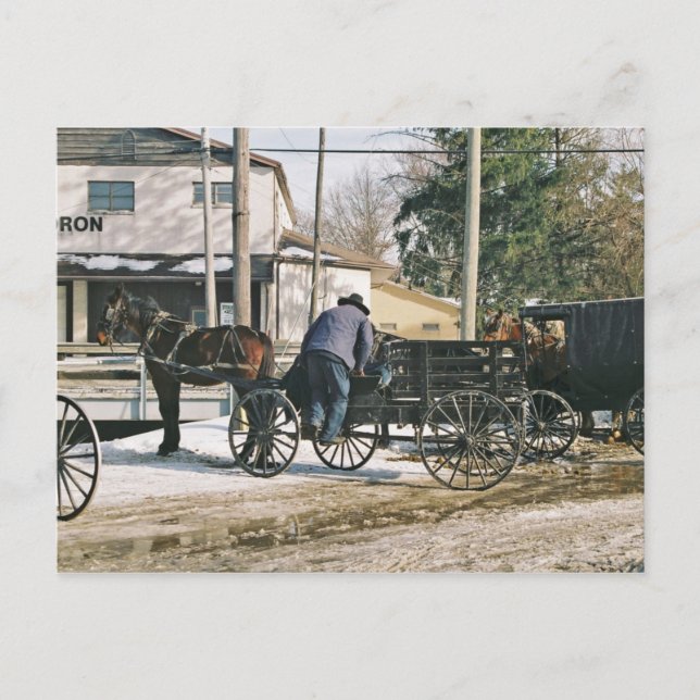 Amishman Parking Buggy Postcard (Front)