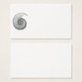 Ammonite (Front & Back)