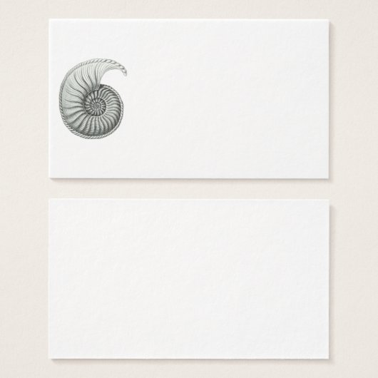Ammonite (Front & Back)