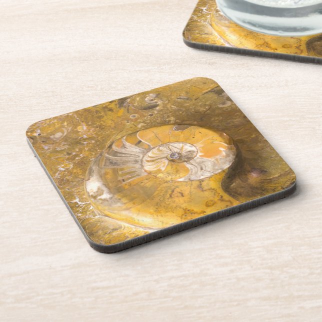 Ammonite and Fossils in Rock Nature Photography Beverage Coaster (Left Side)
