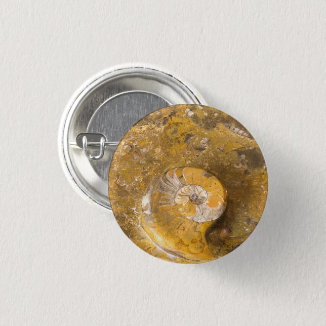 Ammonite and Other Fossils in Rock Photo Pinback Button (Front & Back)