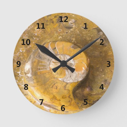 Ammonite and Other Fossils in Rock Photography Round Clock