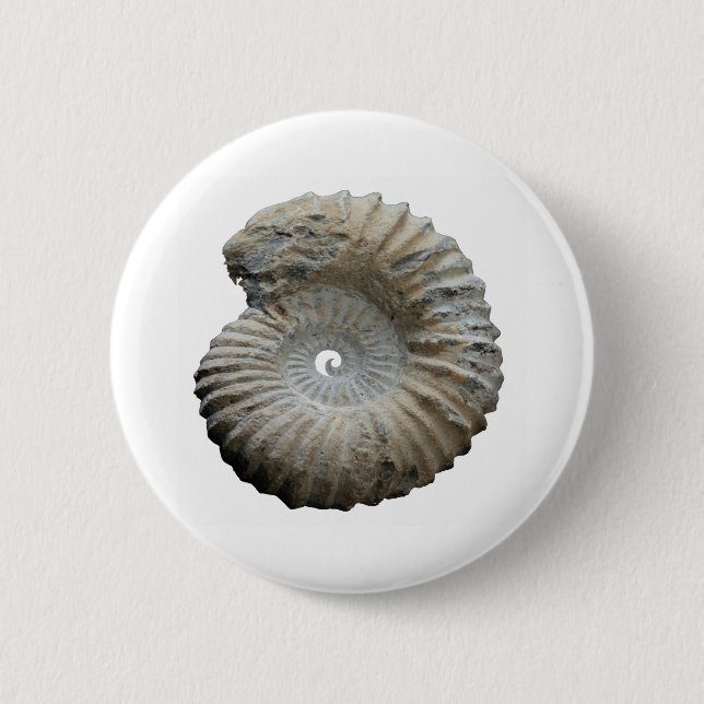 ammonite button (Front)