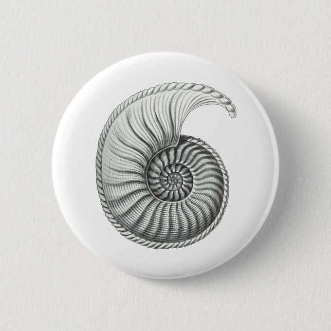 Ammonite Button (Front)
