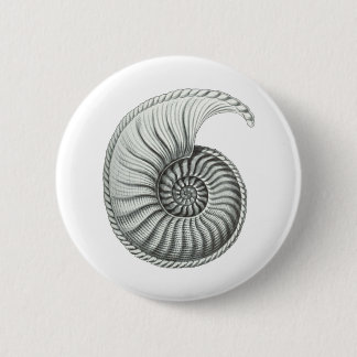 Ammonite Button