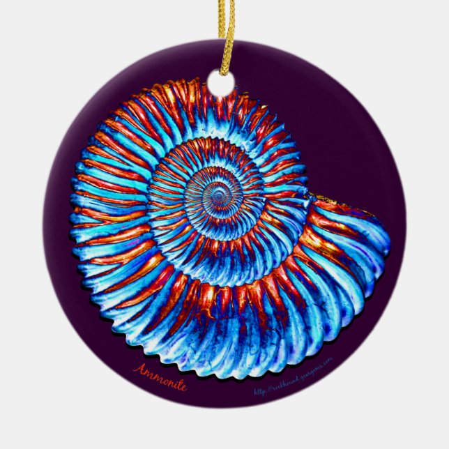 Ammonite Ceramic Ornament (Front)