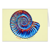 Ammonite fossil (Front Horizontal)