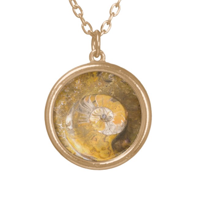 Ammonite Fossil and Other Fossils in Rock Gold Plated Necklace (Front)