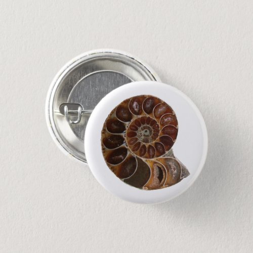 Ammonite Fossil  Button