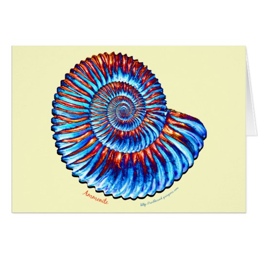 Ammonite fossil cards (Front Horizontal)
