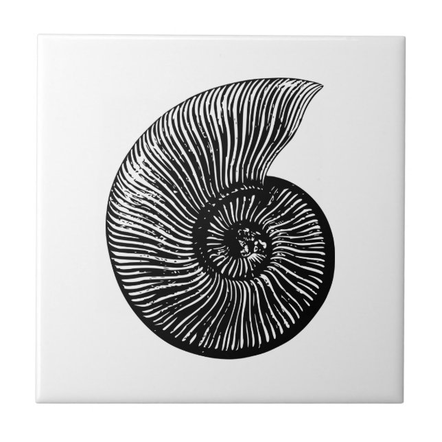 Ammonite Fossil Ceramic Tile (Front)