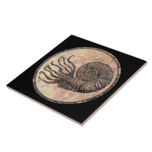 Ammonite Fossil Ceramic Tile