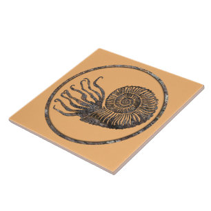 Ammonite Fossil Ceramic Tile
