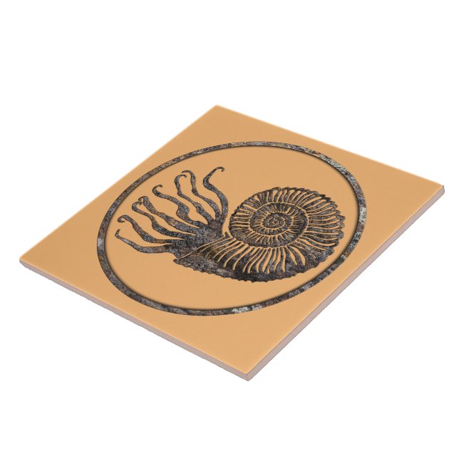 Ammonite Fossil Ceramic Tile (Side)
