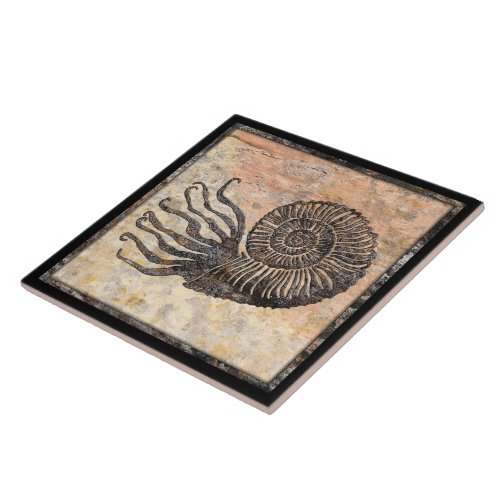 Ammonite Fossil Ceramic Tile