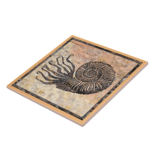 Ammonite Fossil Ceramic Tile (Side)
