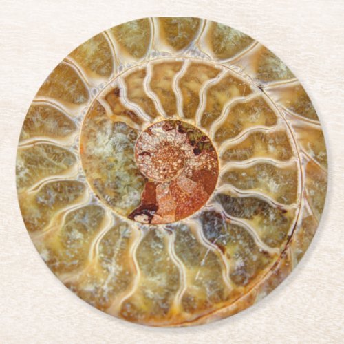 Ammonite Fossil Coaster