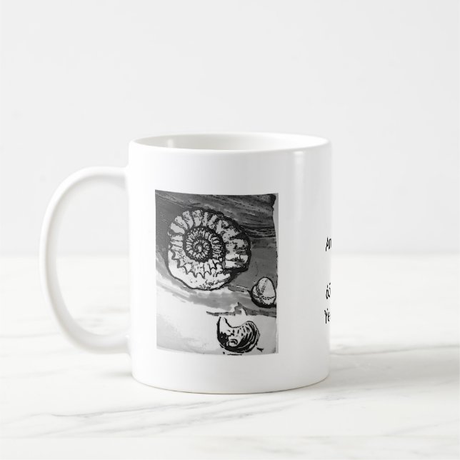 Ammonite Fossil Cup (Left)