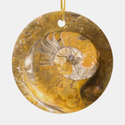 Ammonite Fossil Rock Nature Photography Ceramic Or Ceramic Ornament