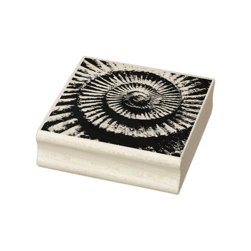Ammonite fossil rubber stamp