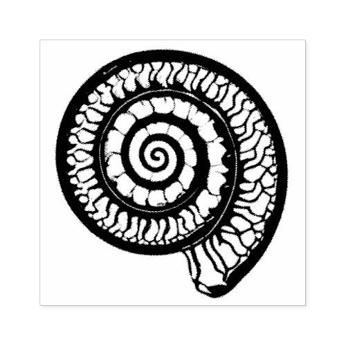Ammonite Fossil _ Spiral Seashell Rubber Stamp